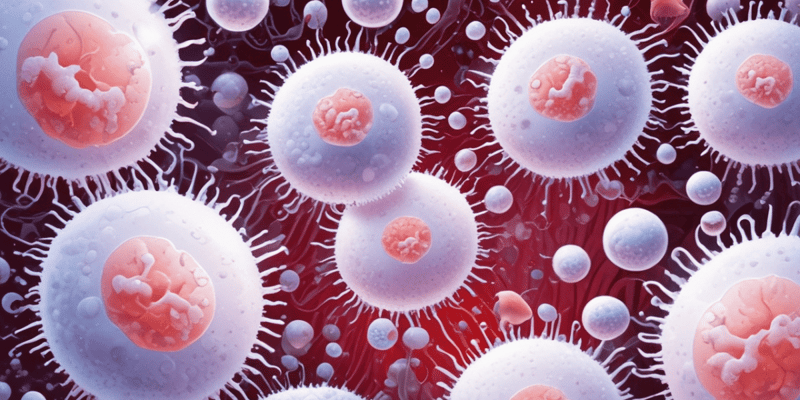 White Blood Cells (WBCs) Function and Types
