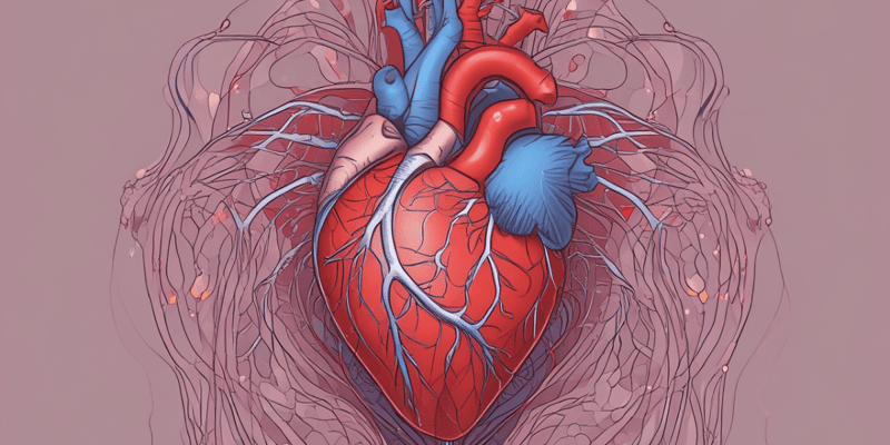Cardiovascular System and Heart Function