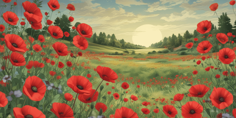 Sylvia Plath's 'Poppies in July' Poem Analysis