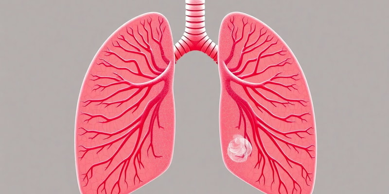 Respiración en Vertebrados y Aves