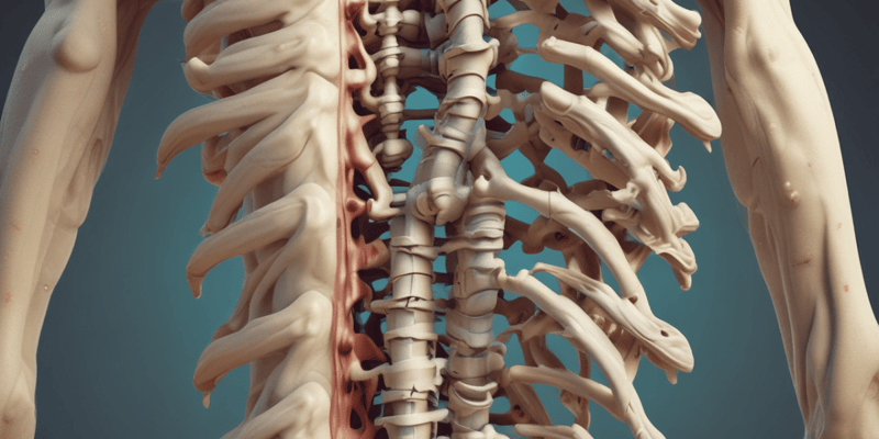 Spinal Curvatures Quiz