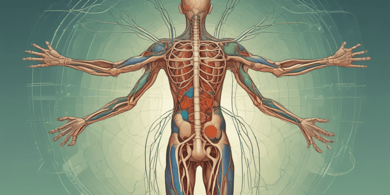 Lymphatic System Course Outline