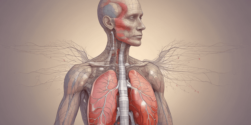 Respiratory System: Inspiration and Breathing Mechanics