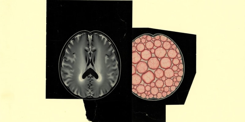 MRI Image Processing Fundamentals