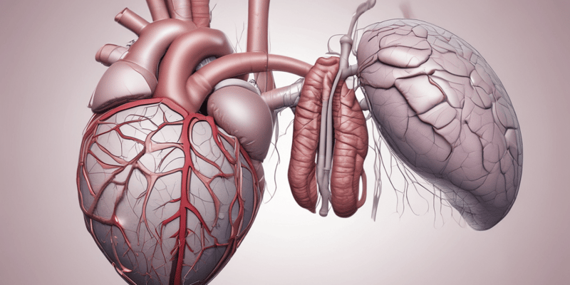Valvulopatías 5 - Enfermedades Valvulares Cardiacas: IM Crónica Secundaria
