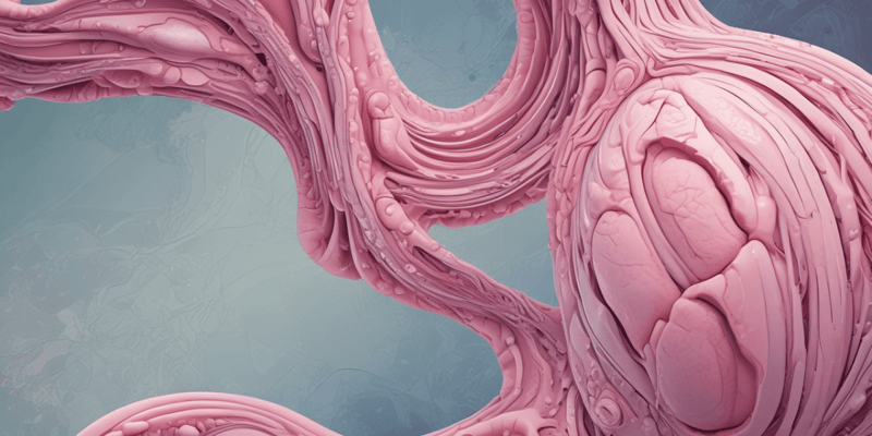 Breast Pathology: Intraductal Papilloma