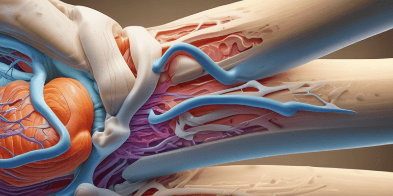 Literature Review: Lower Extremity Pain from Lumbar Spine