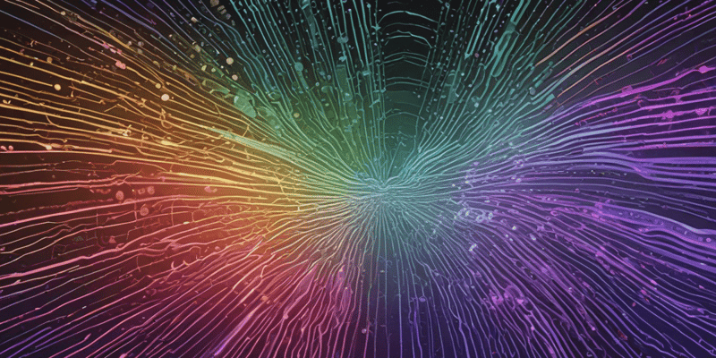 Processing of Light Signals in Vision