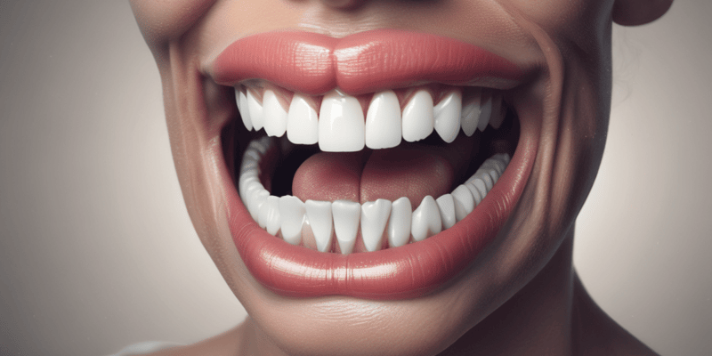 Pre-Deciduous Dentition Quiz