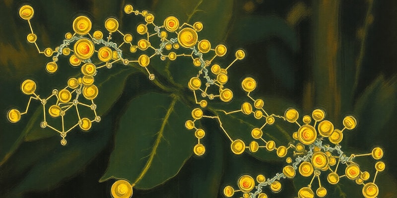 Biology Chapter: Chemical Basis of Life