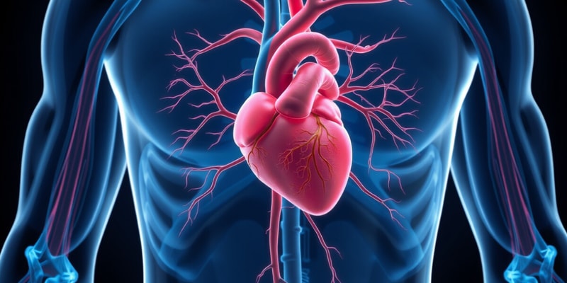 Fisiologia do Sistema Cardiovascular