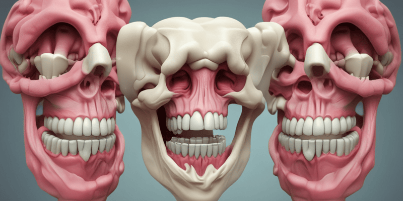 Anatomy of Molars