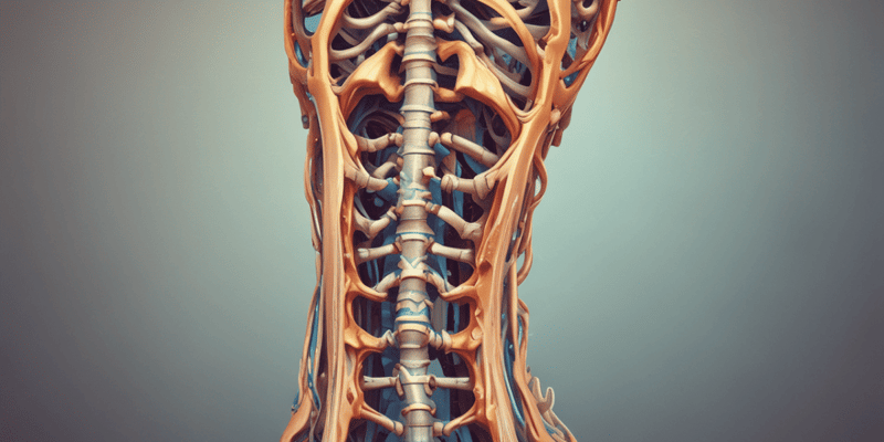 The Vertebral Column: Structure and Function
