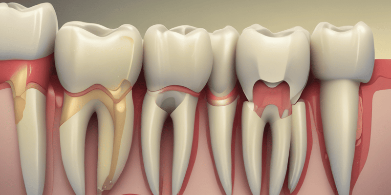 Endodontic Treatment Preparation