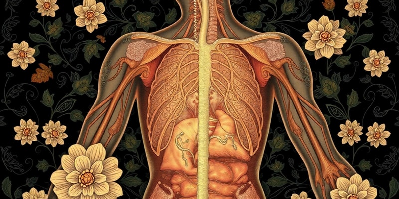 Anatomical Terminology and Homeostasis