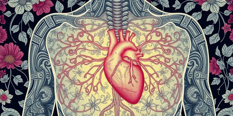 Thoracic Autonomics Quiz