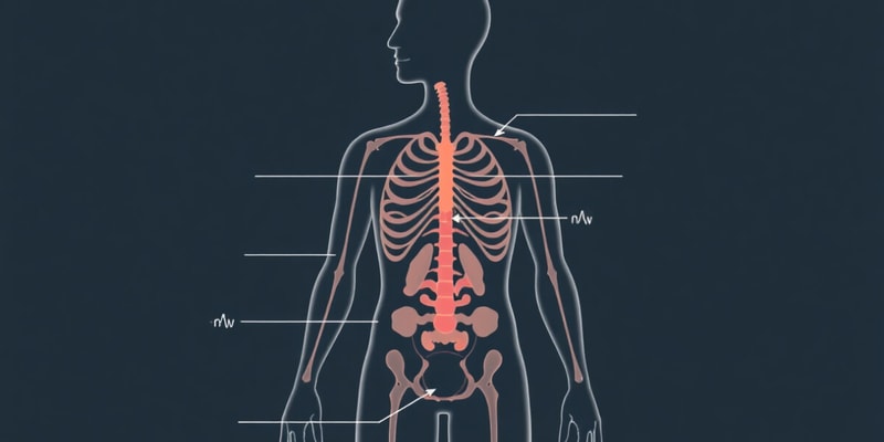 Endocrine System Overview Quiz