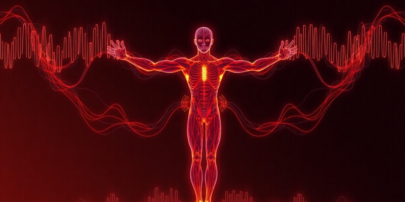 Muscle Activation Patterns and Triphasic EMG