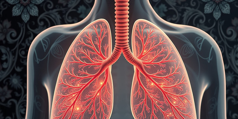 Respiratory Diagnostic Procedures Quiz