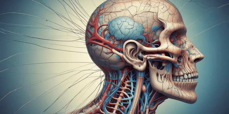SAQ -Cranial Nerves: Structure, Function, and Disorders