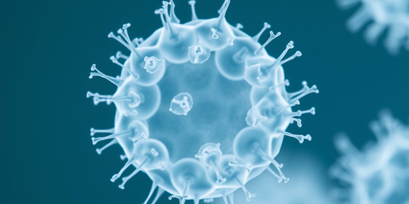 Características de Pseudomonas aeruginosa