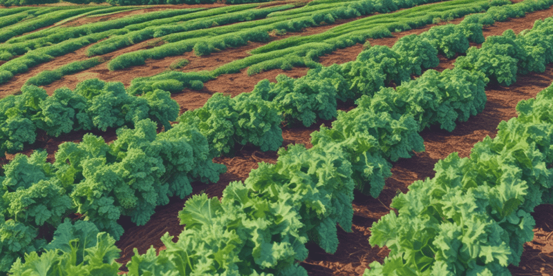 Types of Crops and Kale Farming