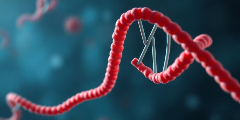 Gene Expression and Transcription Overview