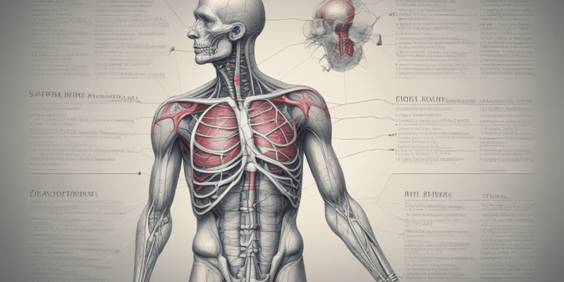 Biology: Body Tissue Types