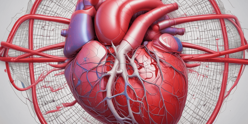 Understanding the Cardiac Cycle