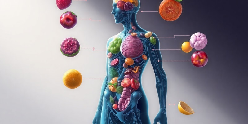 Nutrición y Metabolismo: Conceptos Clave