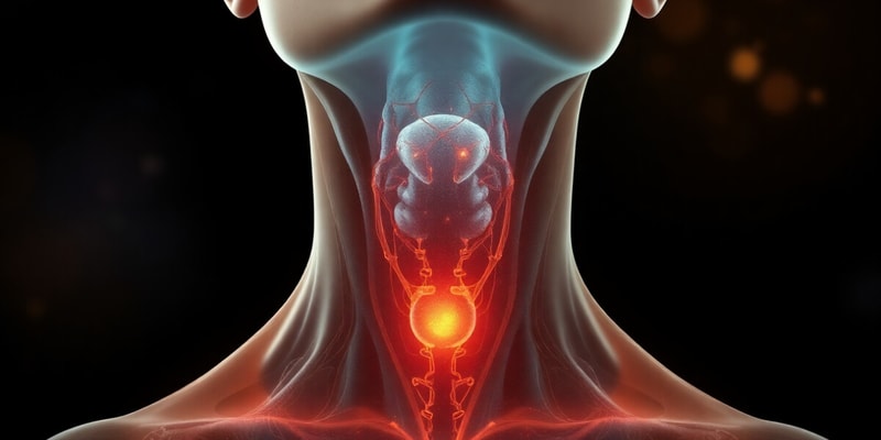 Thyroid Conditions: Multinodular Goiter & Nodules