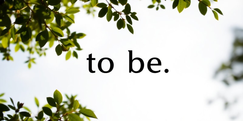 Present Simple Tense of 'To Be'