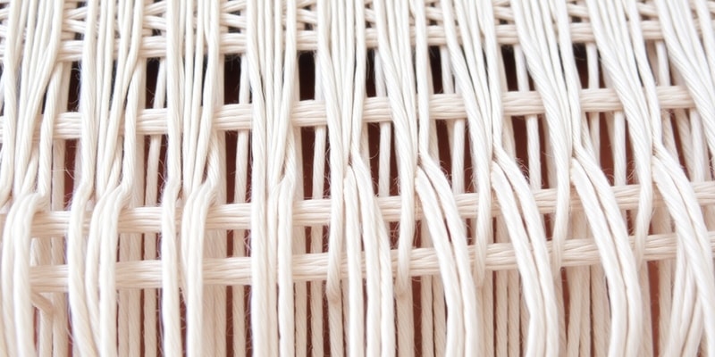 Textile Weaving: Warp Rib Techniques