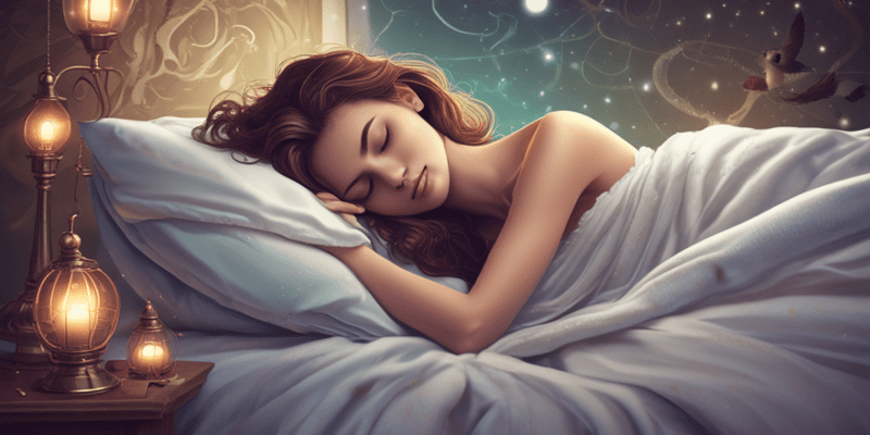 Sleep Stages and Their Importance