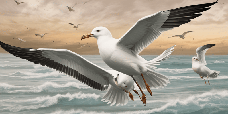 Seagulls: Habitat, Diet, and Behavior