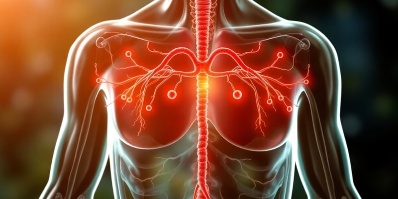 Endocrine System Overview