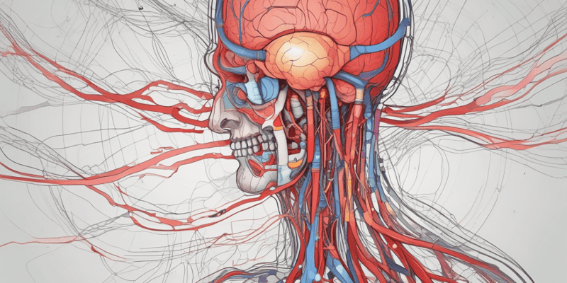 Neurofisiología: Flujo Sanguíneo Cerebral