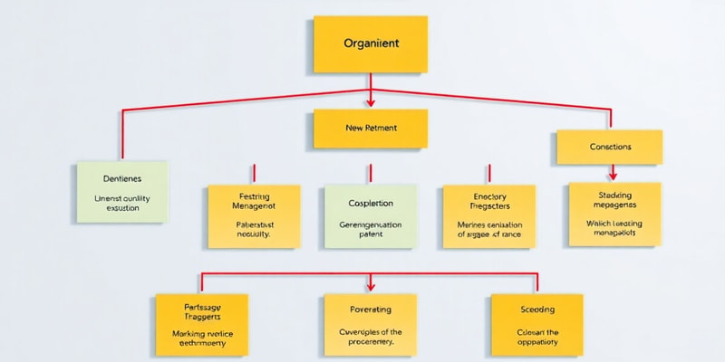 Small Business Organization Quiz