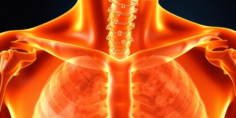 Endocrine Regulation Quiz