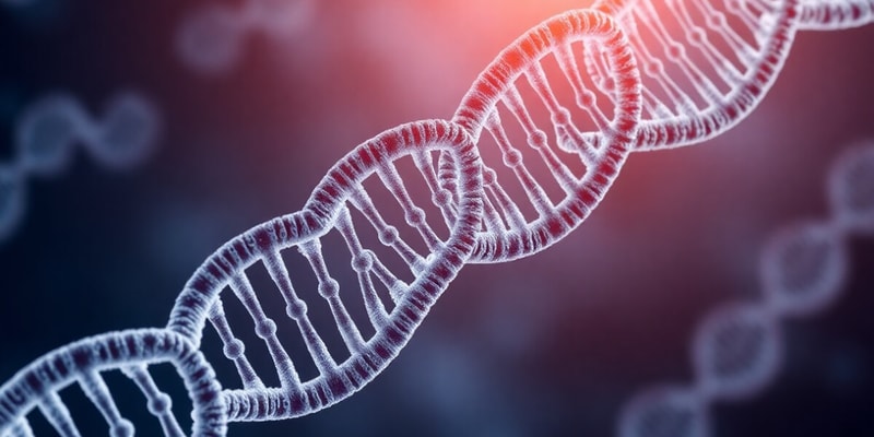 Nucleic Acid Structure and DNA Replication