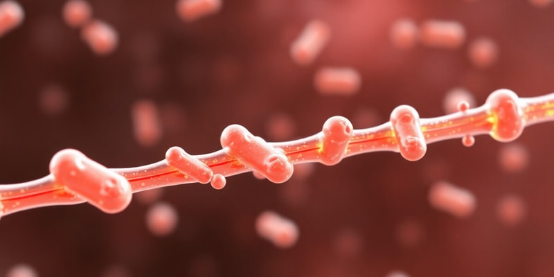 Pharmacokinetics Overview