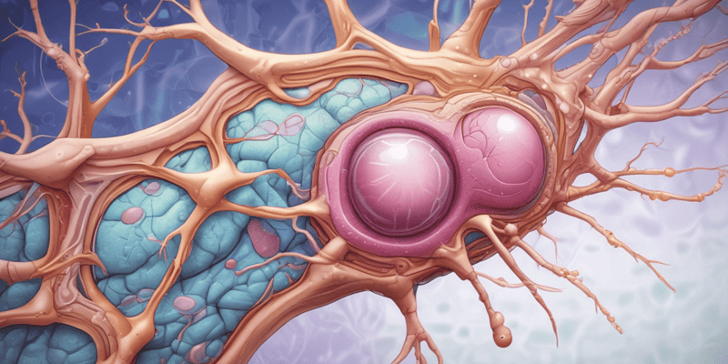 Apocrine Glands Structure and Development