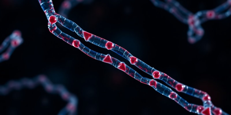 Biology Cell Types and Chromosome Structure