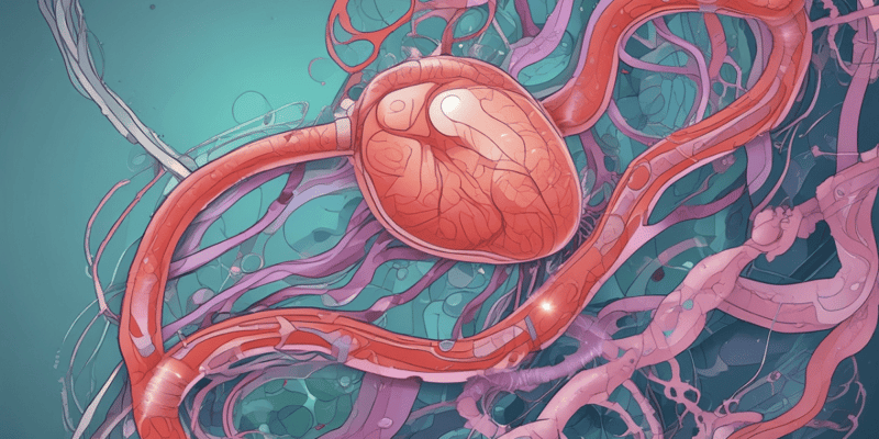 NCUK Biology: Fertilization, Implantation, and Placenta