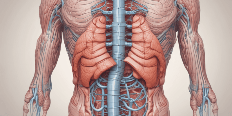26.2 Upper Gastrointestinal Tract and Associated Accessory Digestive Structures