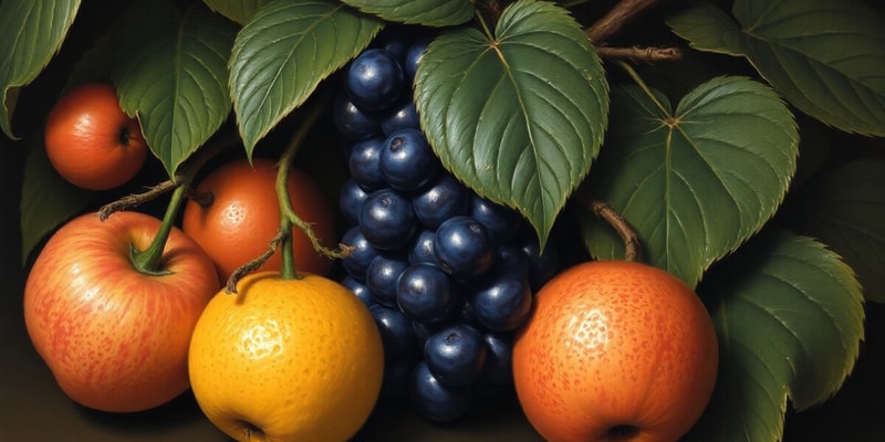 Fruits Classification Quiz