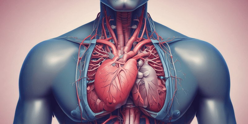Medicina Cardíaca y Insuficiencia