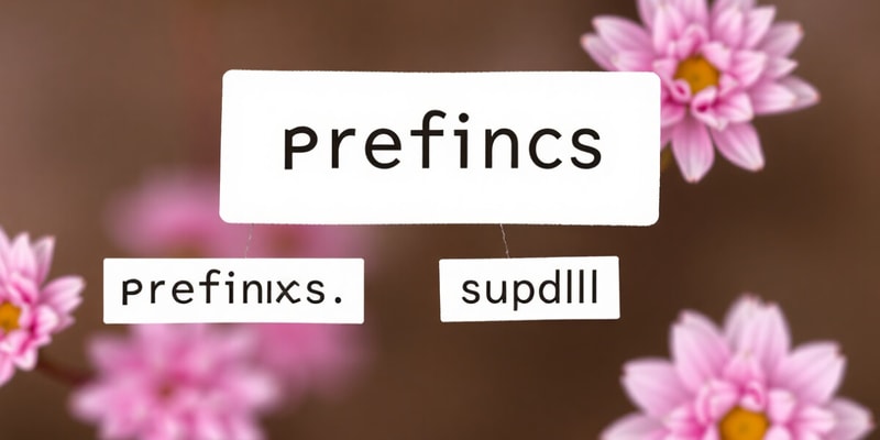 Prefixes and Suffixes Quiz