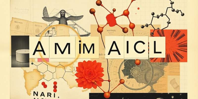 Amino Acids Overview