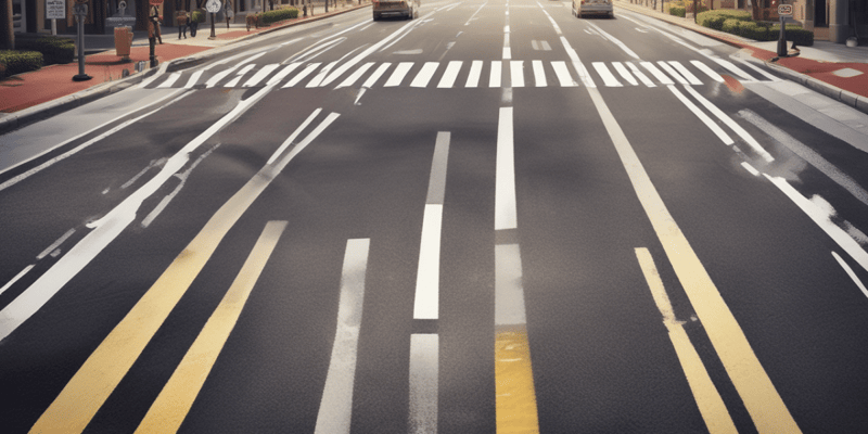 Understanding White Stop Lines and Crosswalk Markings